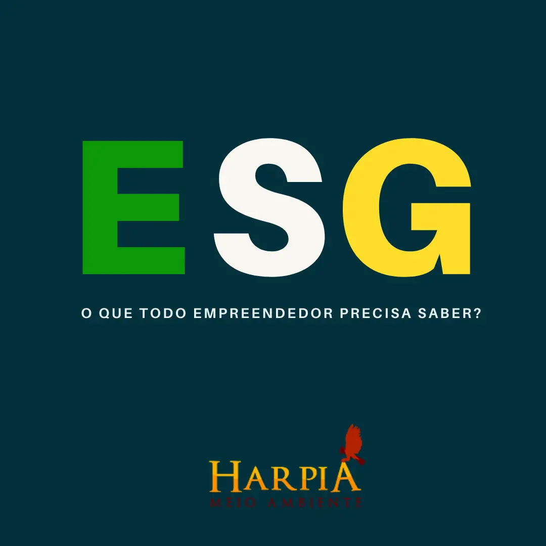 ESG na Prática: 05 respostas para tornar seu negócio mais sustentável.