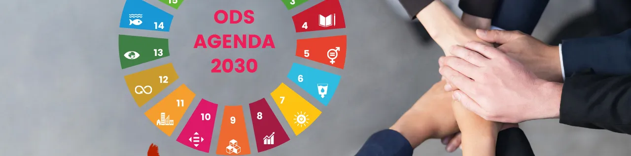 capa Como formar uma liderança orientada aos ODS - Agenda 2030?