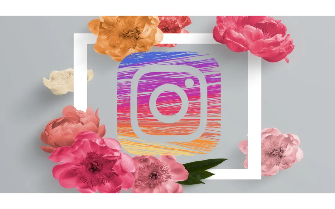 6 Dicas para divulgar seu Espaço de Beleza no Instagram