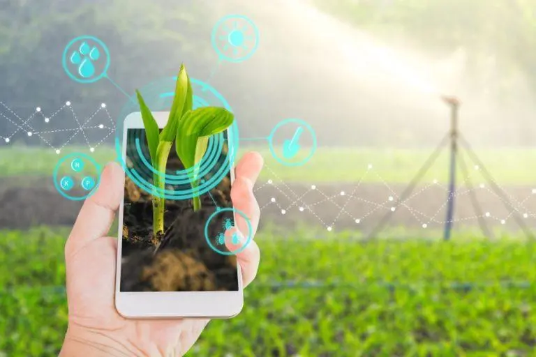 Inteligência Artificial e vendas online, geram transformação digital das agroindústrias